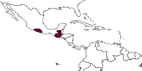 map of Bombus macgregori     Labougle & Ayala, 1985